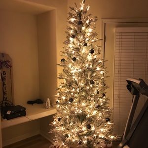 Meet your Posher, Dawn